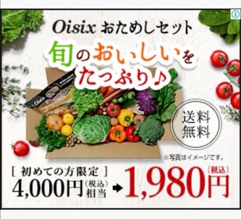 お試しセット購入ページのスクショ