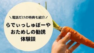 人参の写真