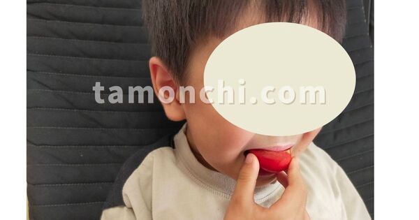トマトを食べる息子