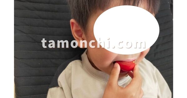 オイシックスのトマトを食べる息子の写真