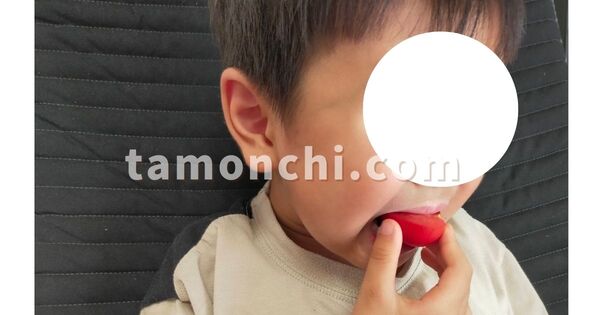 ミニトマトを食べる息子